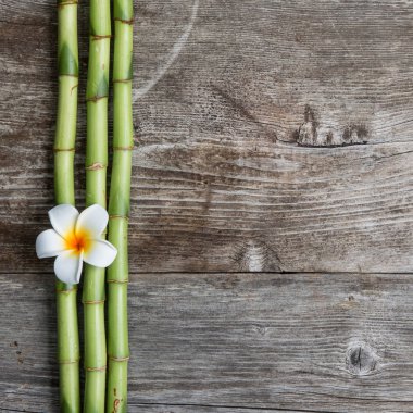 Frangipani ve bambu