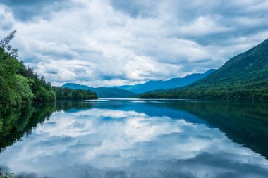 Ormanda güzel bir şelale