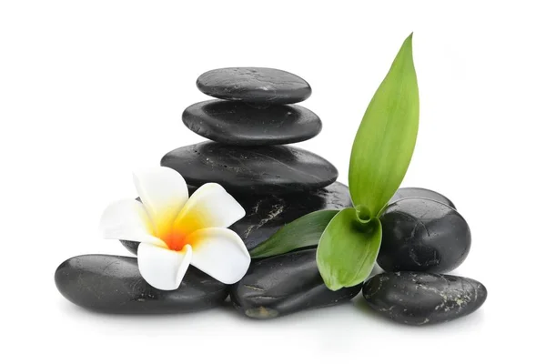 Zen basalt stenar, frangipani och bambu — Stockfoto