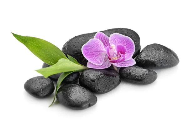Zen basalt stones ,orchid and bamboo — Stock Photo, Image