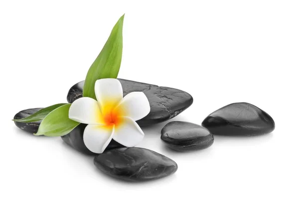 Piedras de basalto zen, orquídeas y bambú — Foto de Stock