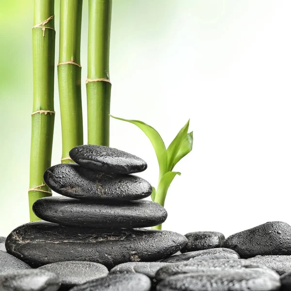 Piedras zen y bambú en el blanco — Foto de Stock