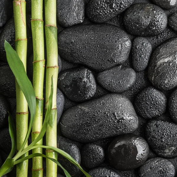 Piedras y hojas de bambú —  Fotos de Stock