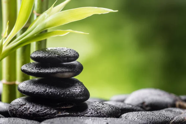 Stenar och bambu blad — Stockfoto