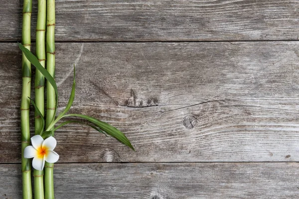 Frangipani and bamboo — Stock Photo, Image