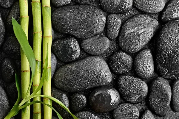 Pedras e bambu — Fotografia de Stock