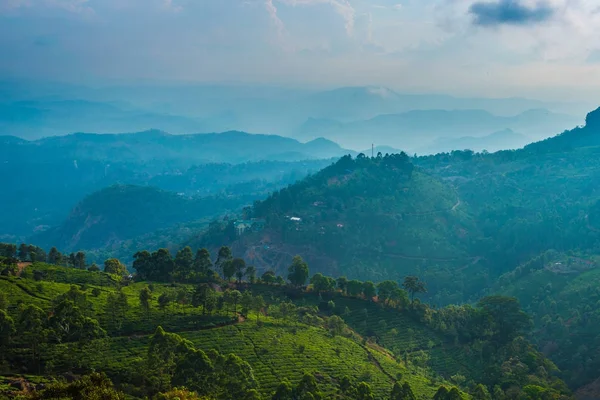 Plantações de chá em Kerala — Fotografia de Stock