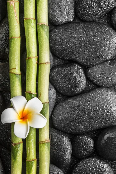 Frangipani en bamboe Rechtenvrije Stockafbeeldingen