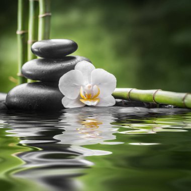 zen bazalt taşları ve bambu