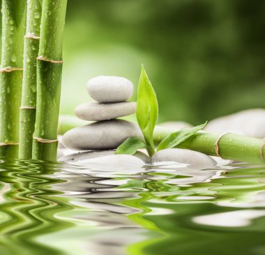 zen bazalt taşları ve bambu