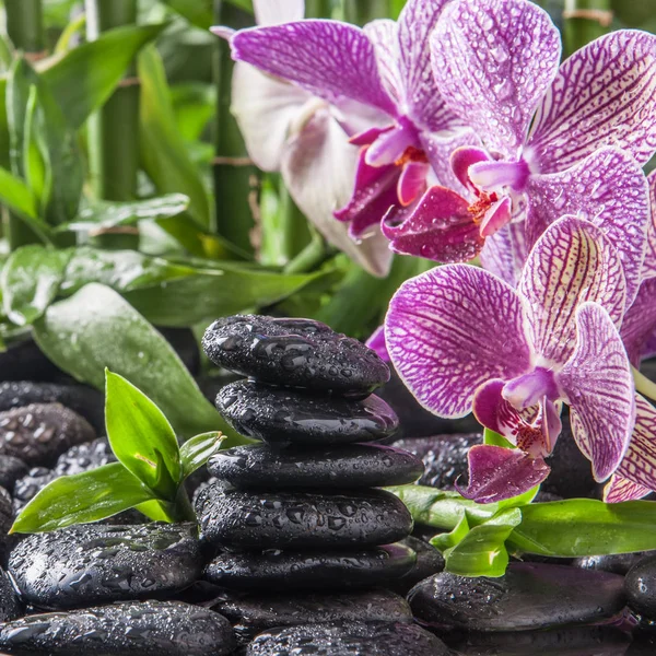 Kamienie bazaltowe Zen, orchidei i bambusowe — Zdjęcie stockowe