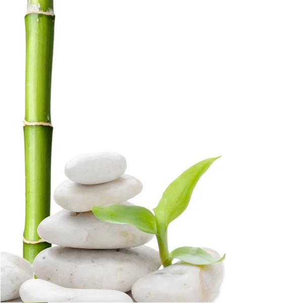 Zen stones a bambus na bílé — Stock fotografie