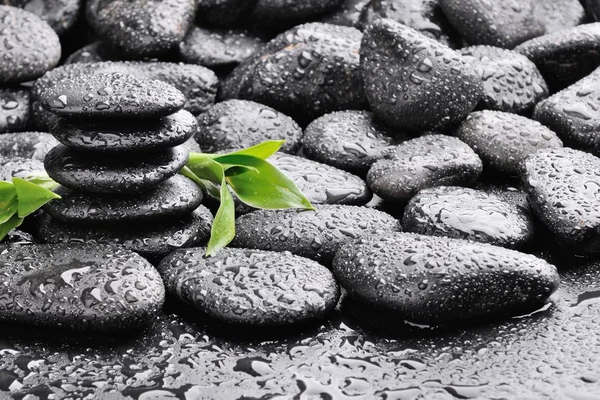 Basaltstenar och bambu, frysta — Stockfoto