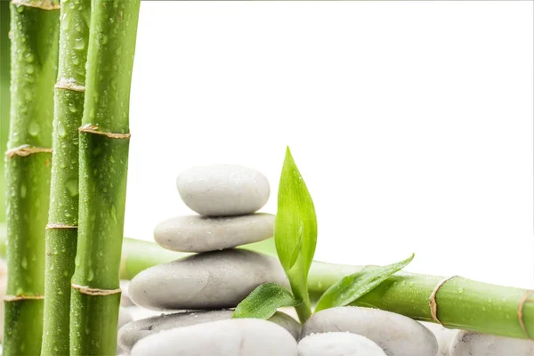 Pietre zen e bambù sul bianco — Foto Stock