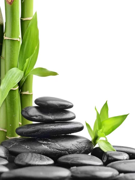 Zen stones and bamboo on the white Stock Image