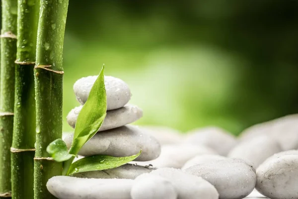 Zen stones a bambus na bílé — Stock fotografie