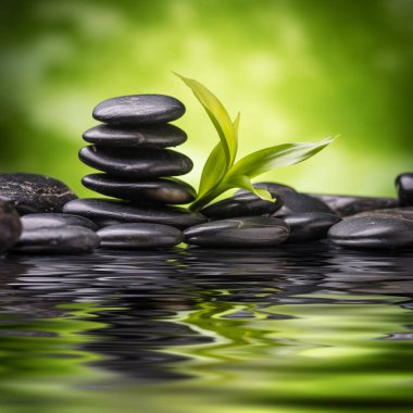 zen bazalt taşları ve bambu 