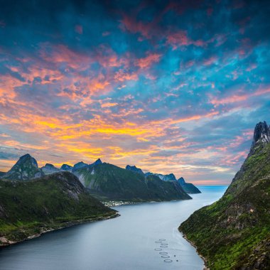 Barden için izlemek. Norwey, ada Senja