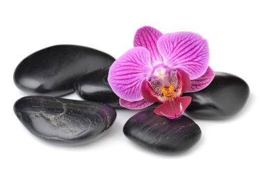 zen bazalt taşları ve bambu 