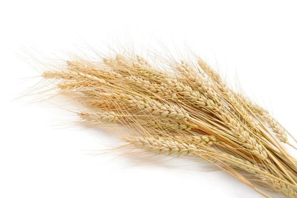 Wheat on the white background.. — Stock Photo, Image