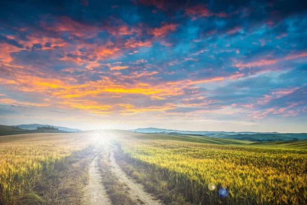 SUNET över grusväg — Stockfoto