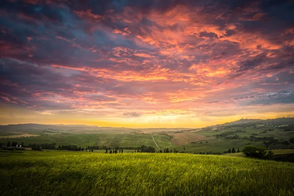 Zomer landschap van Toscane, Italië. — Stockfoto