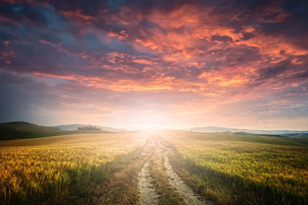 Sonnenuntergang über Feldweg — Stockfoto