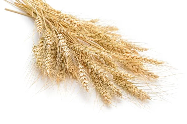 Wheat on the white background — Stock Photo, Image