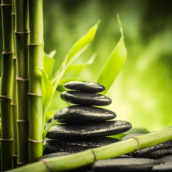 Pedras de basalto zen e bambu — Fotografia de Stock