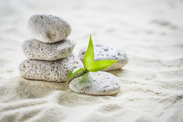 Zen basalt stones and bamboo isolated on white — Stock Photo, Image