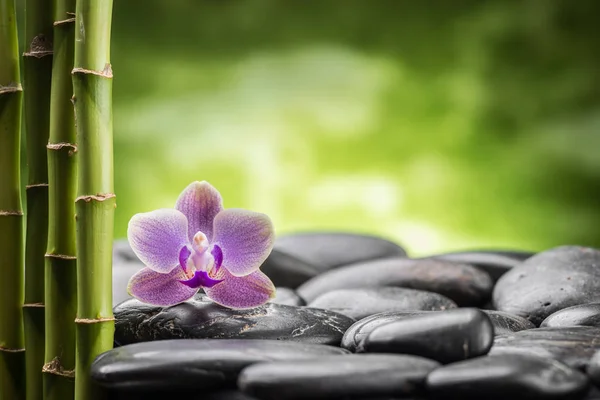 Piedras de basalto zen y bambú aislados en blanco — Foto de Stock