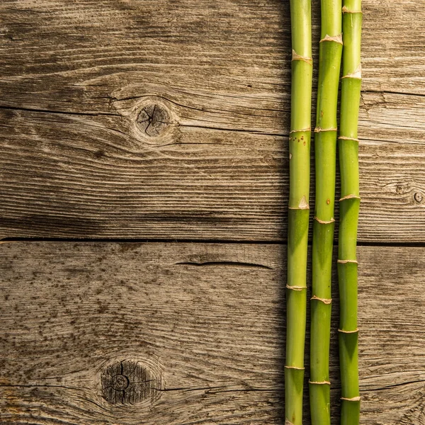 Bamboo grove i trä baord bakgrunden Royaltyfria Stockfoton