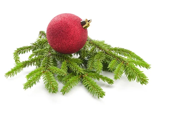 Fir tree isolated on white Royalty Free Stock Images