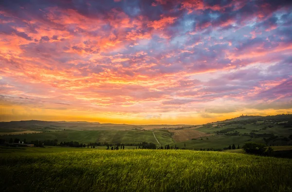 Bellissimo paesaggio estivo Fotografia Stock