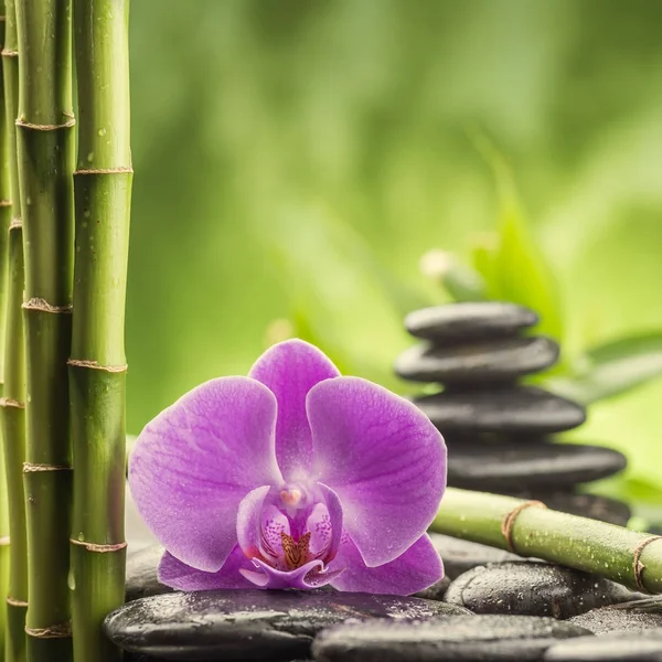 Zen basalt stones and bamboo Stock Picture