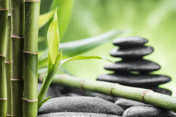 Pedras de basalto zen e bambu — Fotografia de Stock