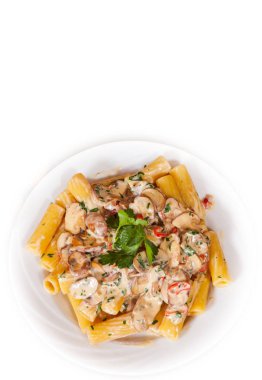 rigatoni makarna bir tabak içinde mantar sos ile. Üstten Görünüm. beyaz izole