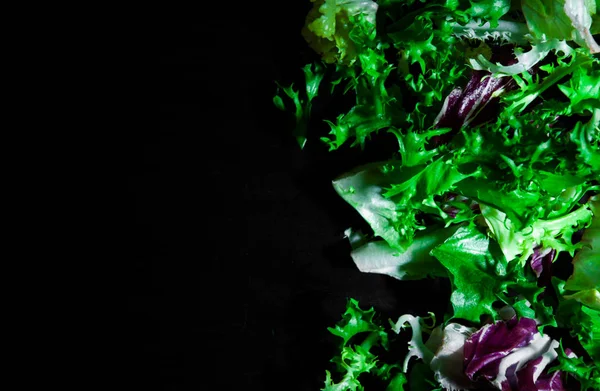 Varias Hojas Ensalada Fresca Con Lechuga Radicchio Cohete Sobre Fondo — Foto de Stock