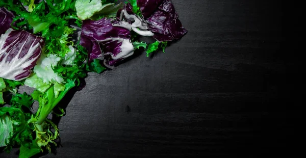 Varias Hojas Ensalada Fresca Con Lechuga Radicchio Cohete Sobre Fondo — Foto de Stock