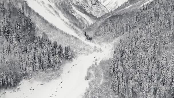 Vista aérea en bosque montañoso. Paisaje invierno — Vídeo de stock