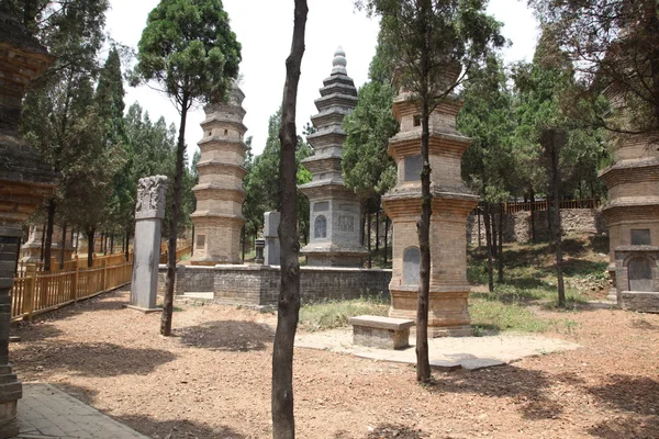 El Bosque de la Pagoda en el Templo de Shao Lin, ubicado en XiAn Chi — Foto de Stock