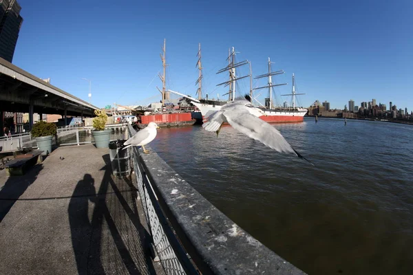 New York, Manhattan bay és a kilátás a Brooklyn, Amerikai Egyesült Államok — Stock Fotó