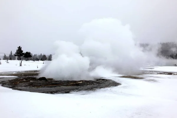 Hot geyser in Yellowstone National  Park, USA — Stock Photo, Image