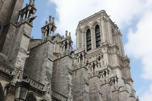 Katedra Notre dame - Paryż — Zdjęcie stockowe