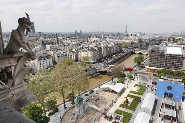 Cattedrale di Parigi e Notre Dame - Parigi famosa di tutte le chimere , — Foto Stock