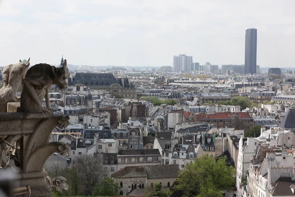 Parijs en de kathedraal van de Notre Dame - Parijs beroemde van alle Chimaera, — Stockfoto