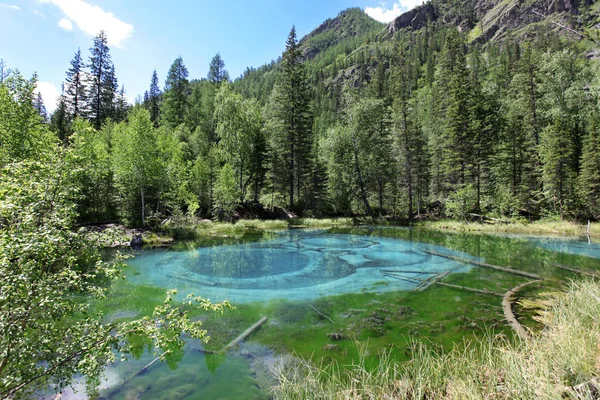 Reserva Biosférica Natural del Estado de Altai, Lago géiser de área silvestre , —  Fotos de Stock