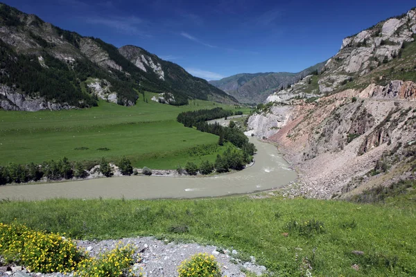 Reserva Biosférica Natural del Estado de Altai, Río Chuya, Rusia . — Foto de Stock