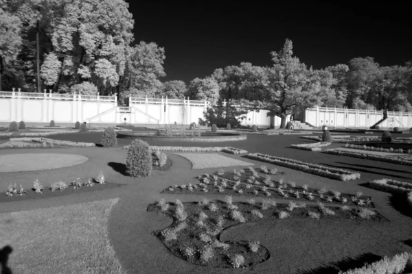 Park w Tallinn, Estonia — Zdjęcie stockowe