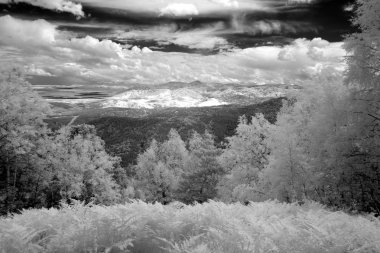 Altai Dağı Doğal Biyosfer Rezervi, Rusya.